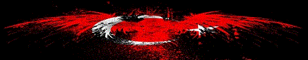 http://k1310.hizliresim.com/1g/9/tdswd.gif